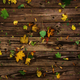 Illustration for article titled Shooting Challenge Fall Leaves Gallery 7